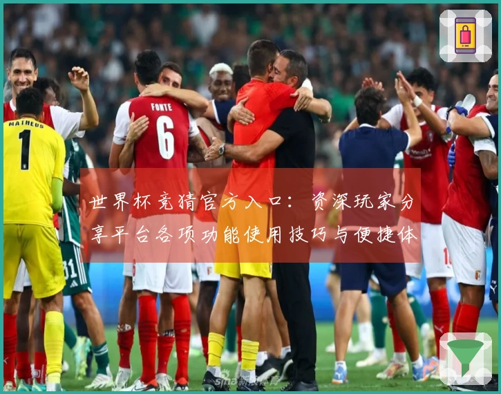 世界杯竞猜官方入口：资深玩家分享平台各项功能使用技巧与便捷体验