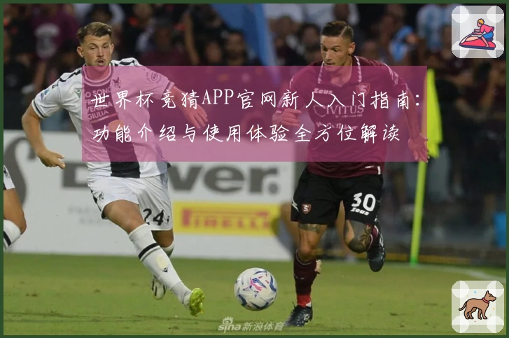 世界杯竞猜APP官网新人入门指南：功能介绍与使用体验全方位解读
