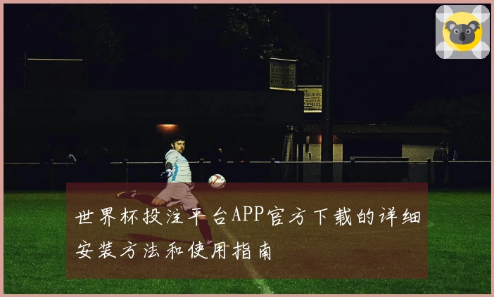 世界杯投注平台APP官方下载的详细安装方法和使用指南